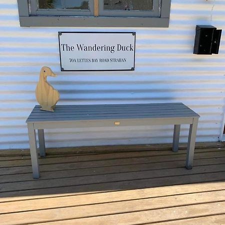 The Wandering Duck - Heritage Tiny House Strahan Luaran gambar